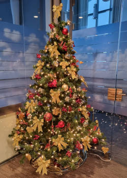 Opgetuigde kerstboom te huur